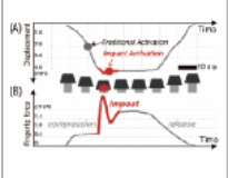 Impactive activation Impactive activation