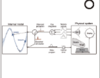 neuromechanics of a button neuromechanics of a button